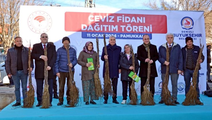 Denizli, Türkiye’nin ceviz üretim merkezi olma yolunda ilerliyor