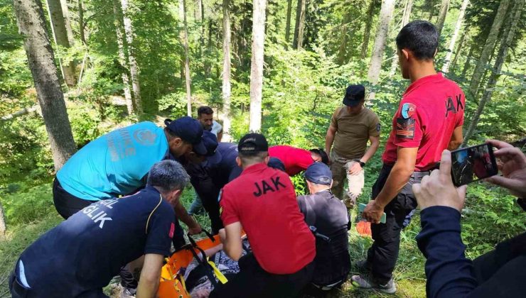 9 gündür kayıp olarak aranan kadın, ormanlık alanda bulundu