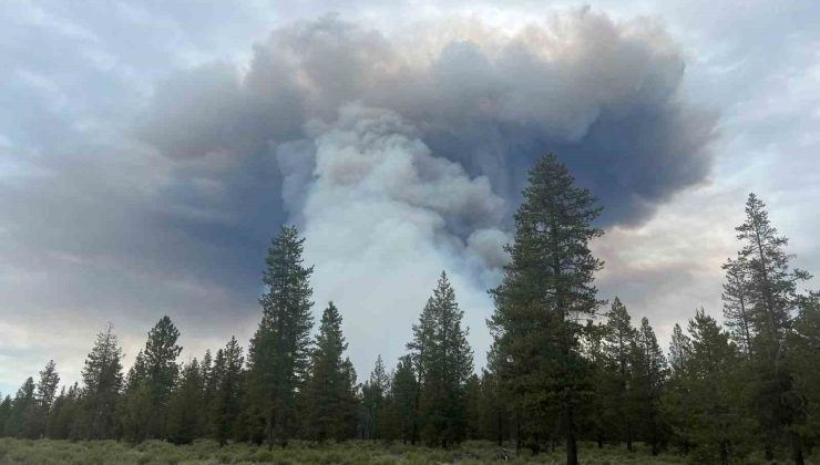 ABD’nin Oregon eyaletinde orman yangını: Bin 700 dönümlük alan kül oldu