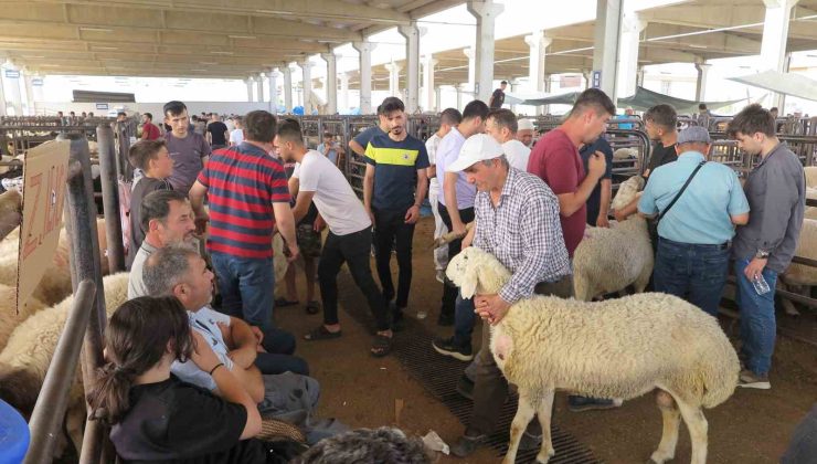 Arefe günü kurban pazarlarında hareketlilik