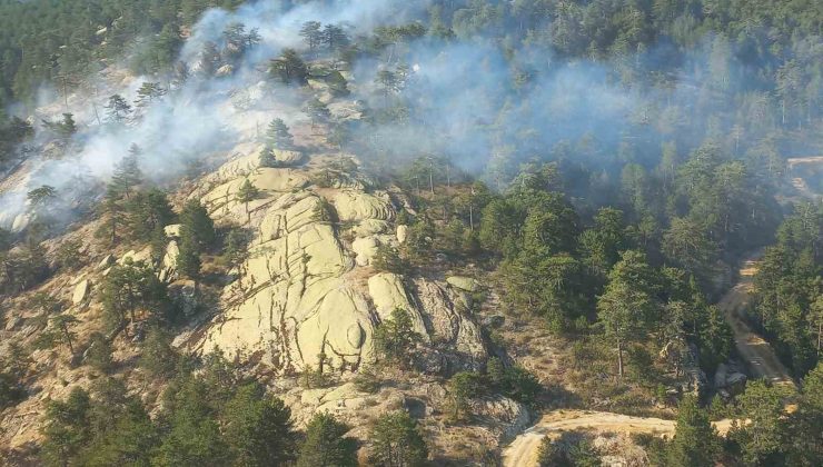 Bozdoğan’daki orman yangını kontrol altına alındı