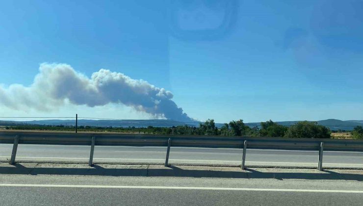 Çanakkale’de orman yangını, gemi trafiği askıya alındı