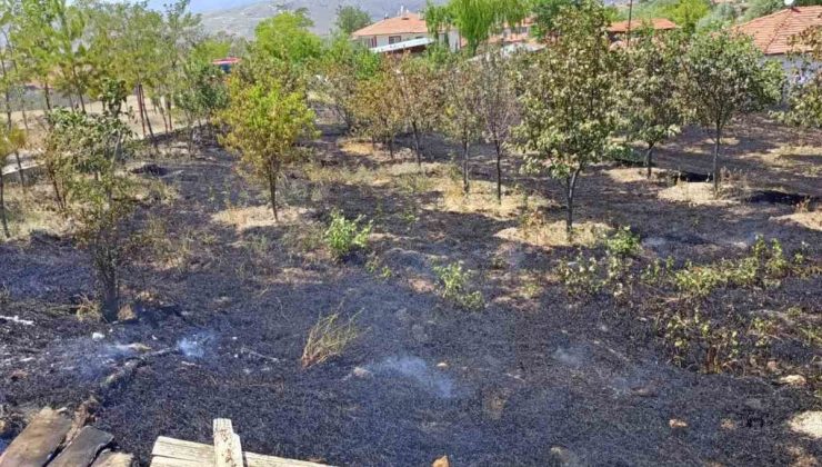 Çankırı’da çıkan ot yangınları büyümeden söndürüldü