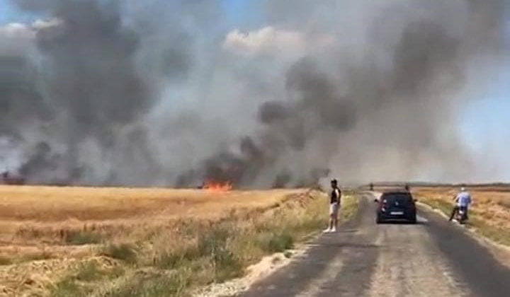 Edirne’de tarla yangını: 50 dönüm buğday küle döndü