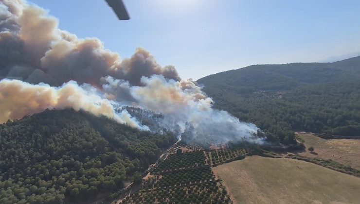 İzmir’in Menderes ve Çeşme ilçelerinin ardından Selçuk ilçesi Pamucak mevkiinde de yangın çıktı. Yangına 4 helikopter ve 5 uçak ile havadan ve karadan müdahale ediliyor.