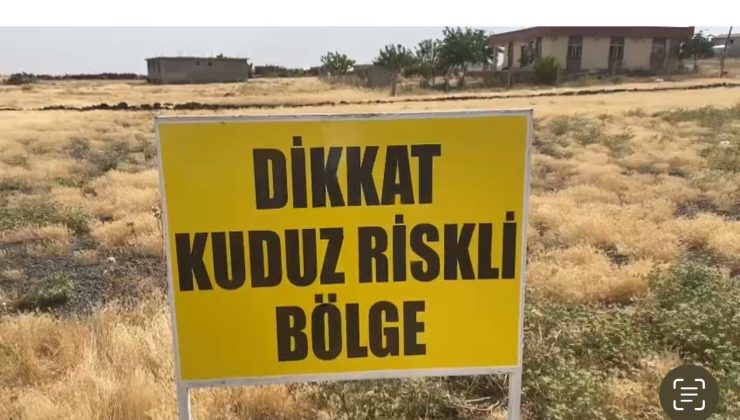 Şanlıurfa’da bir kuduz vakası daha