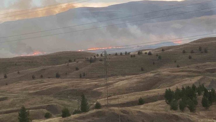 Siirt’teki anız yangınları kontrol altına alındı