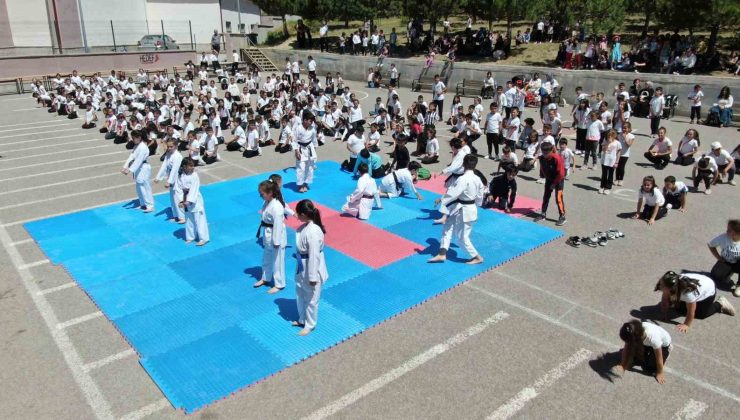 Sivas’ta 450 kişilik karate gösterisi dikkat çekti