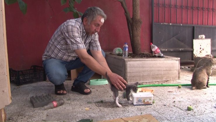 Sokak hayvanlarını beslediği için darp edildi