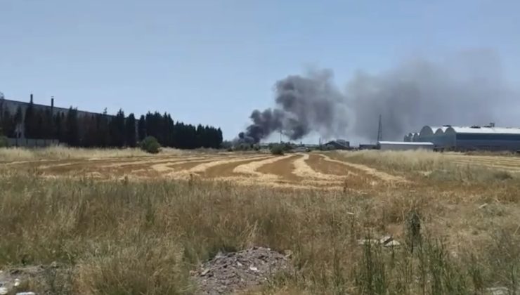 Tekirdağ’daki fabrika yangını söndürüldü