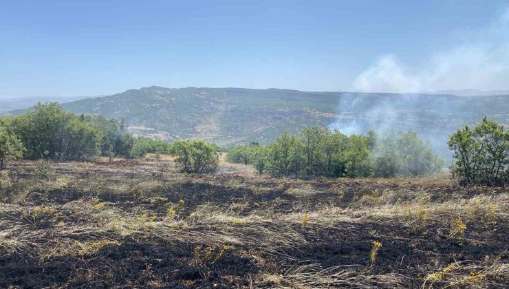 Tunceli’de 3 ayrı bölgede çıkan yangınlardan 2’si söndürüldü, 1’ine müdahale sürüyor