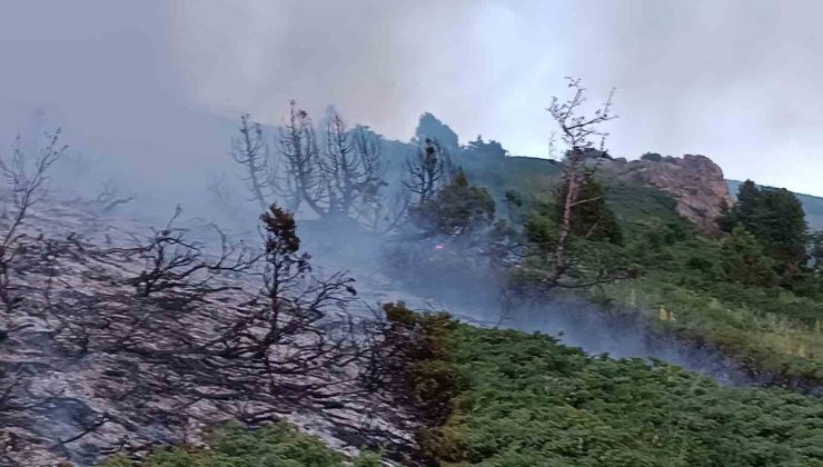 Tunceli’de ağaçlık alanda yangın