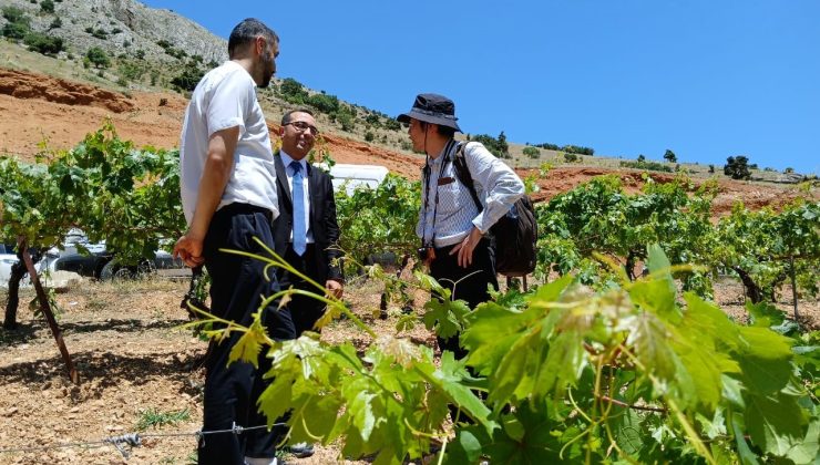 “Türkiye’de Tarıma Dayalı Sanayi’de Rekabet Gücünün Artırılması Projesi” faaliyetleri başladı