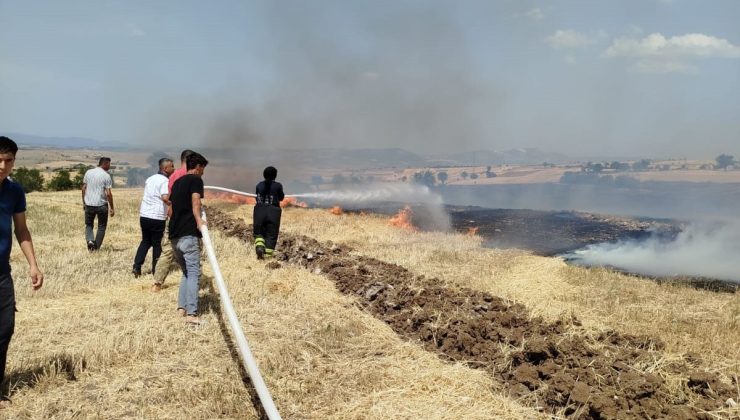 Anız yangını ekili alanlara sıçradı, 20 dönüm alan zarar gördü