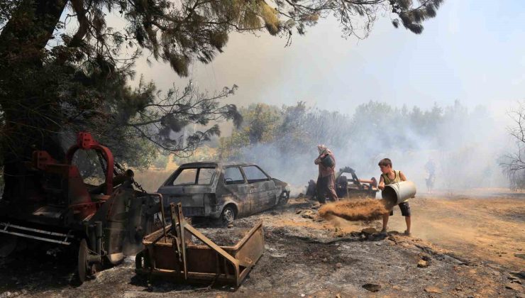 Antalya’da çıkan orman yangınında seralar büyük zarar gördü