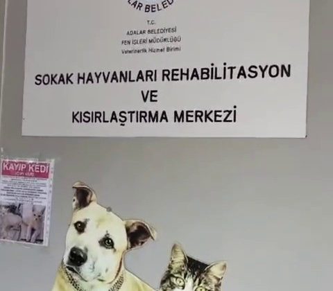 Büyükada Rehabilitasyon Merkezi’nde ’hayvanlara bakılmıyor’ iddiası