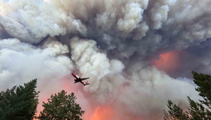 California’nın en büyük orman yangını: 145 bin dönümden fazla alan kül oldu