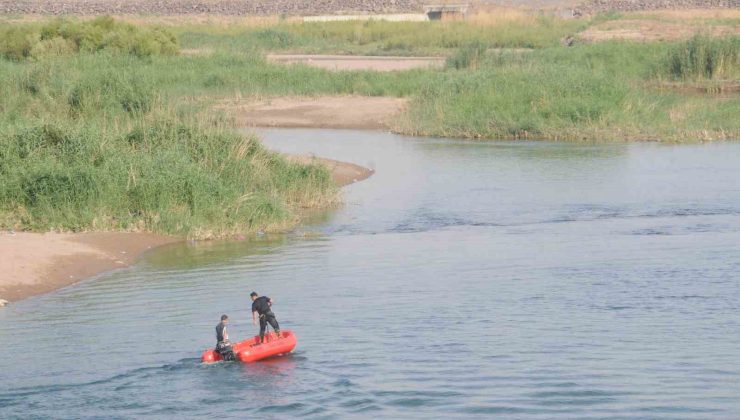 Dicle Nehrinde boğulma tehlikesi geçiren iki kişiyi vatandaşlar kurtardı