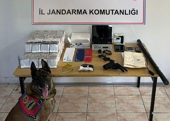 Erzincan jandarma suç olaylarına geçit vermiyor