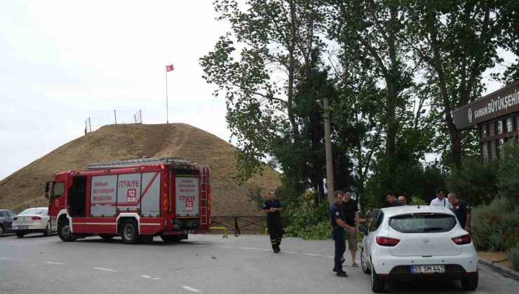 Fırtına ağacı kökünden söktü: 1 otomobil zarar gördü