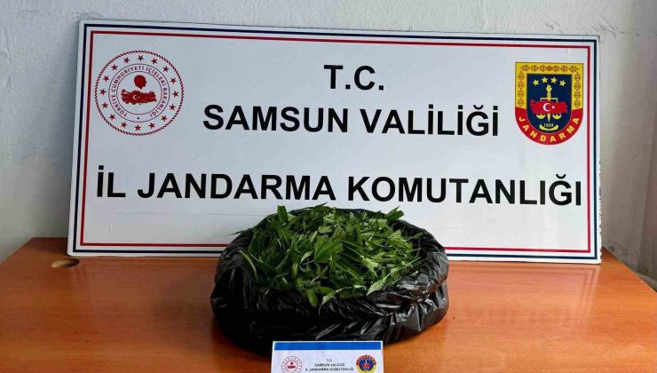 Jandarma 5.5 kilo kubar esrar ele geçirdi