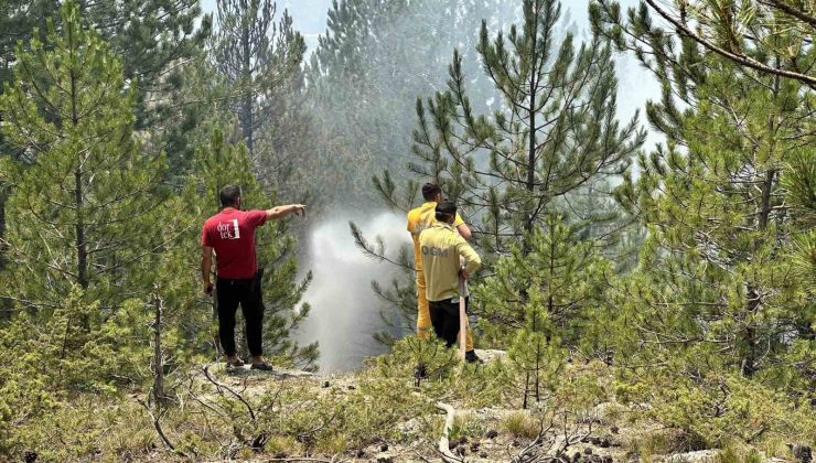 Kastamonu’daki orman yangınları kontrol altına alındı