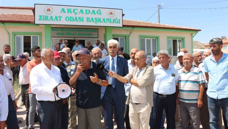 Malatya’da kayısı fiyatlarında istikrar arayışı sürüyor