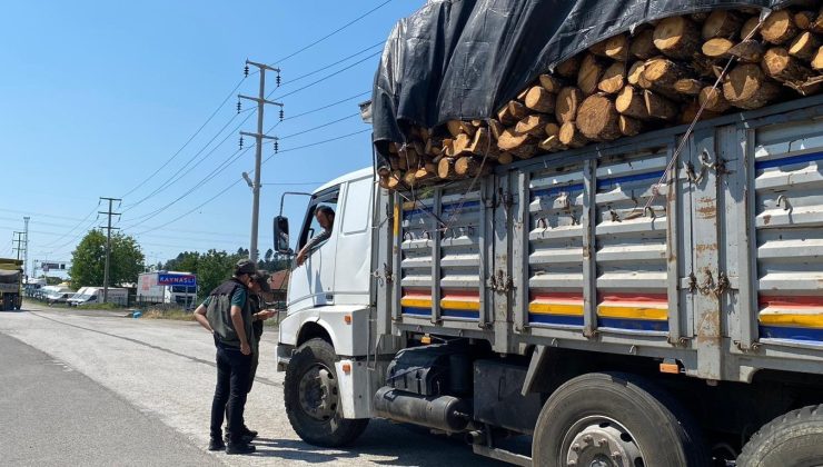 Orman emvali taşıyan araçlar tek tek kontrol edildi