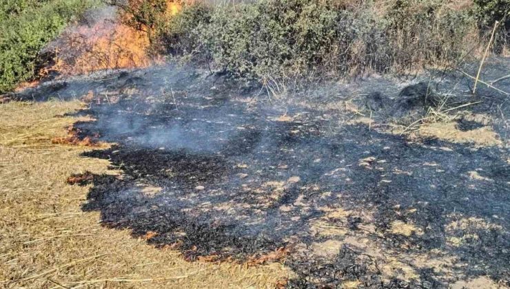 Tekirdağ’da anız yangını