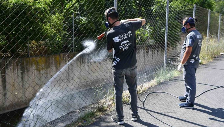 Üsküdar Belediyesi tarafından vektörlerle mücadele devam ediyor