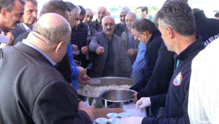 Bafra Ovası’nda Çeltik Hasat Şenliği: 165 bin ton rekolte beklentisi