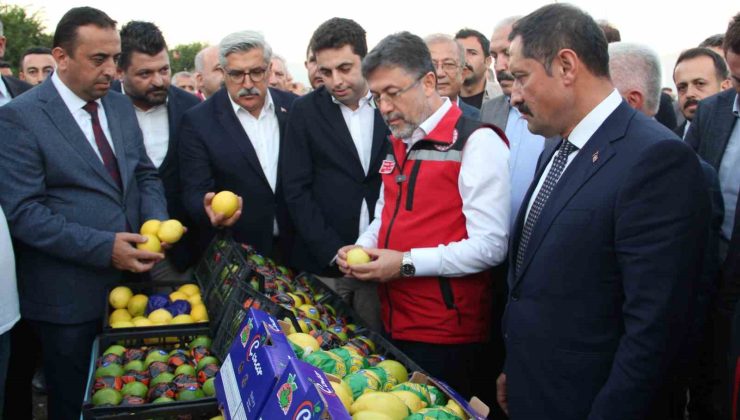 Bakan Yumaklı, narenciye hasadında sezon açılışını yaptı