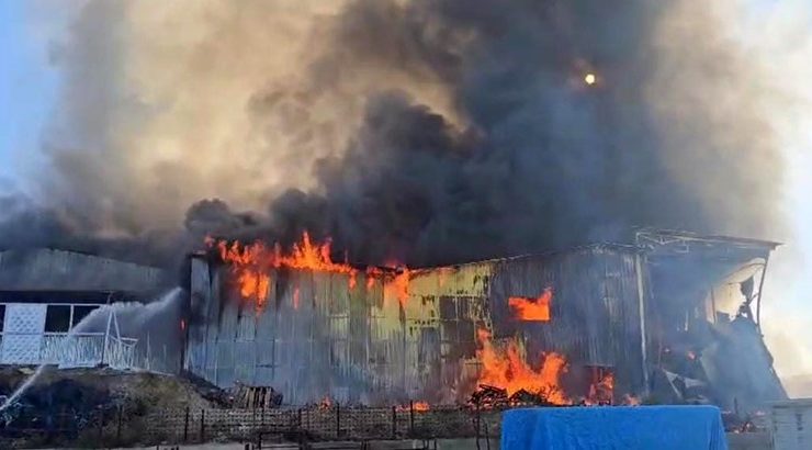 Balık yemi paketleme fabrikası alevlere teslim oldu