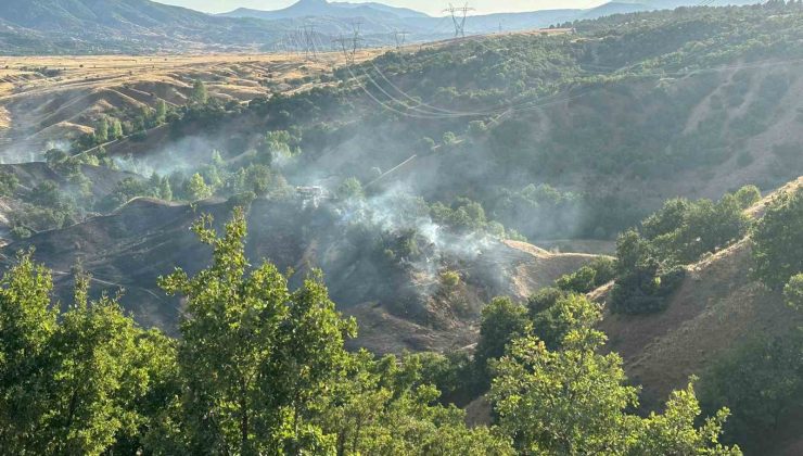 Bingöl’de orman yangını büyümeden söndürüldü