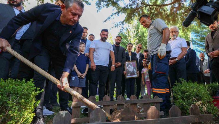 CHP’nin kedisi ’Şero’ Genel Merkez bahçesine defnedildi