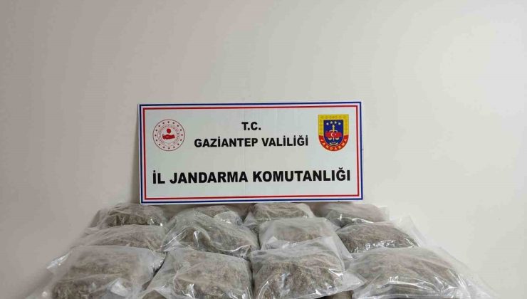 Gaziantep’te 32 kilogram skunk ele geçirildi