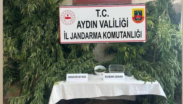 Germencik’te uyuşturucu operasyonu: 1 gözaltı