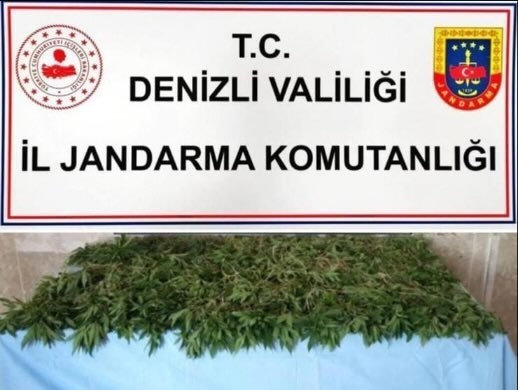 Jandarma 7 ilçede zehir tacirlerine operasyon düzenledi