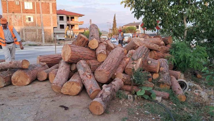 Kamyon virajı alamadı, tomruklar yola saçıldı