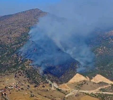 Manisa’da orman yangını