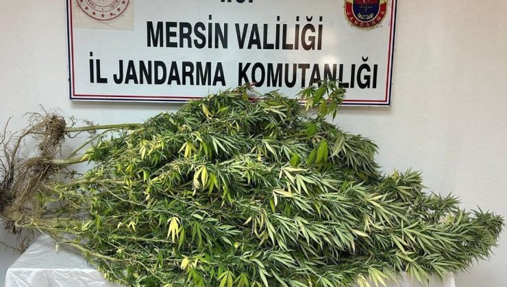 Mersin’de uyuşturucu tacirlerine operasyon: 4 gözaltı