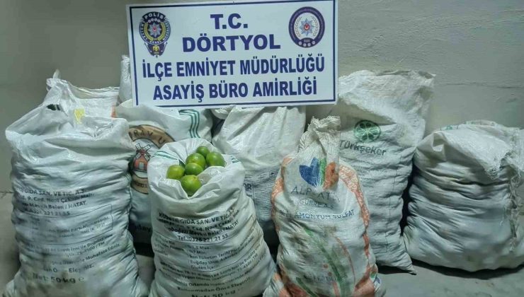 Narenciye bahçesinden 350 kilo mandalina çalan 2 şahıs tutuklandı