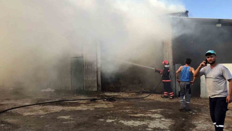 Sakarya’da 2 ahır ve 2 samanlık alevlere teslim oldu: 1 yaralı