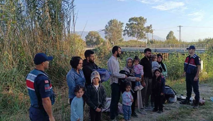 Sazlık alana gizlenen 13 düzensiz göçmen yakalandı