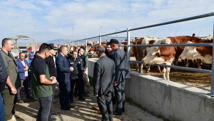 Vali Çiçek, Ardahan hayvan pazarında incelemelerde bulundu