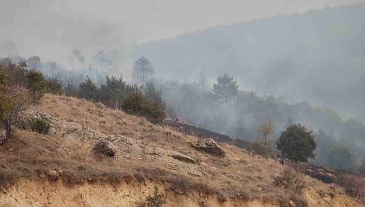 Afyonkarahisar’da orman yangını