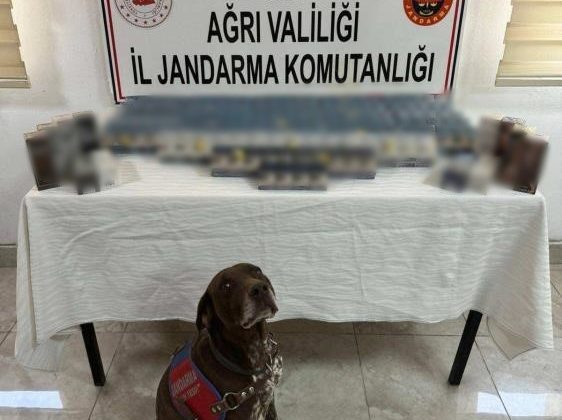 Ağrı’da kaçakçılık operasyonu