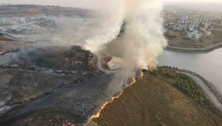 Bandırma’da makilik alanda yangın