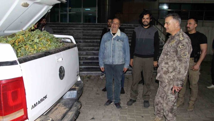 Bingöl’de dev uyuşturucu operasyonu: 542 kilo esrar ele geçirildi