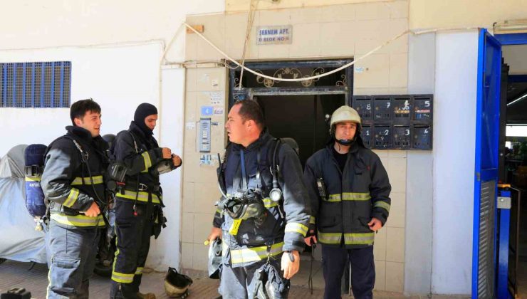 Bodrum katta çıkan yangın sonrası yavru kedi alarmı